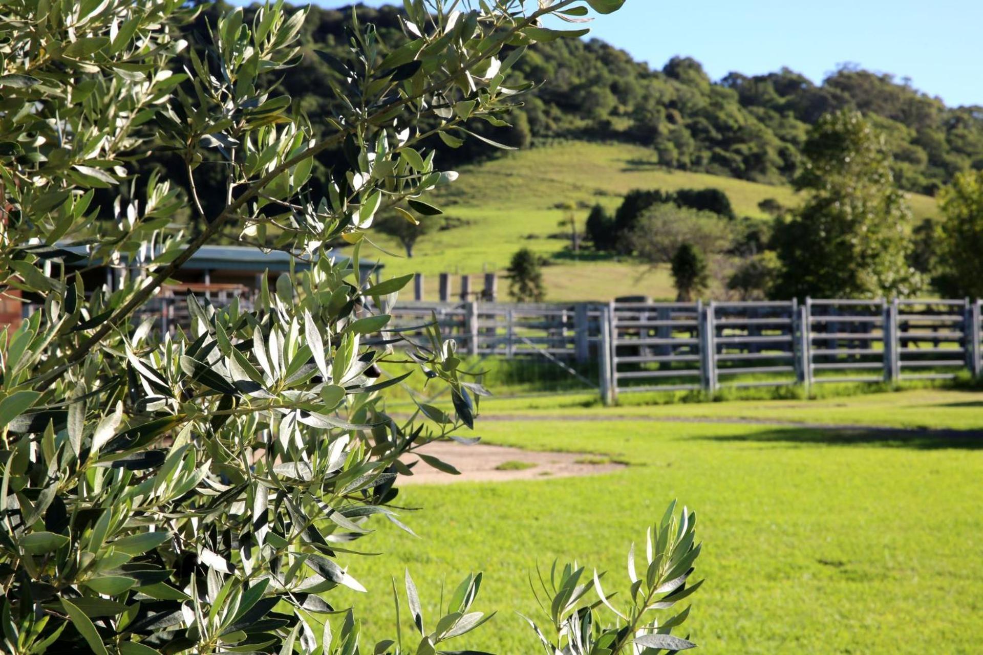 Harley Hill Farm - A Rare Country Escape