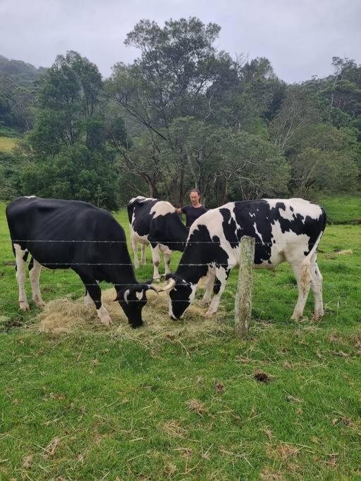 Tatil Evi Charlie & Roy's Farm