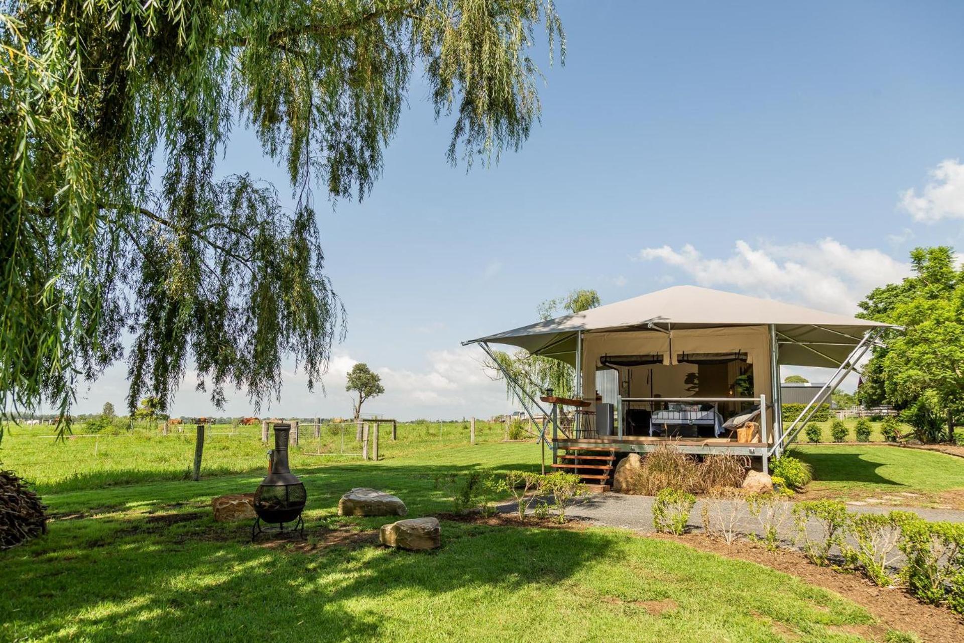 Glamping Kamp alanı