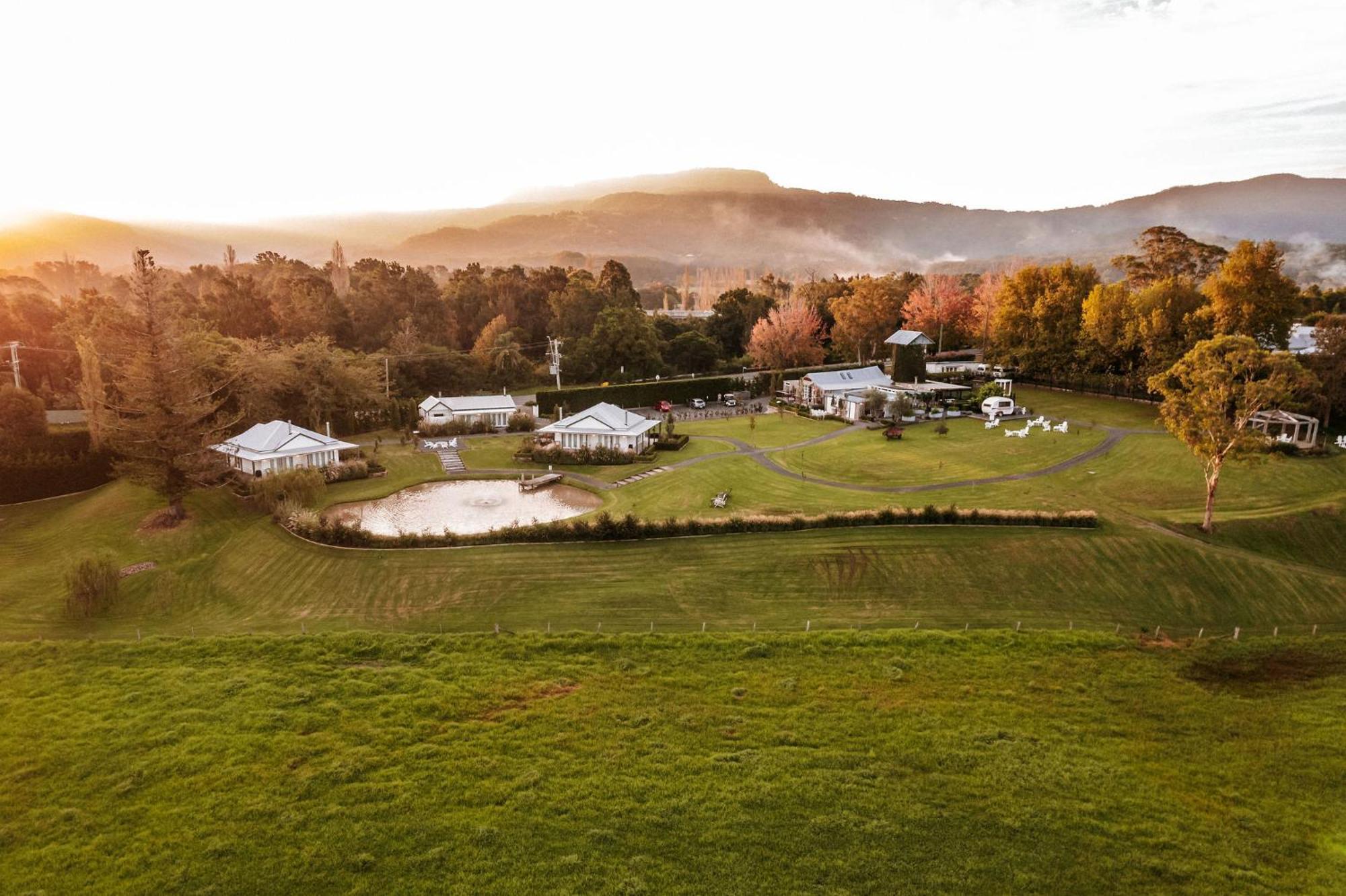 The Homestead Berry