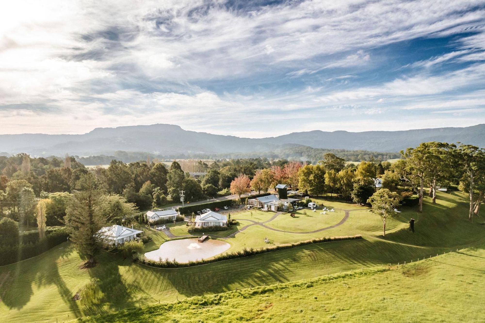 The Homestead Berry