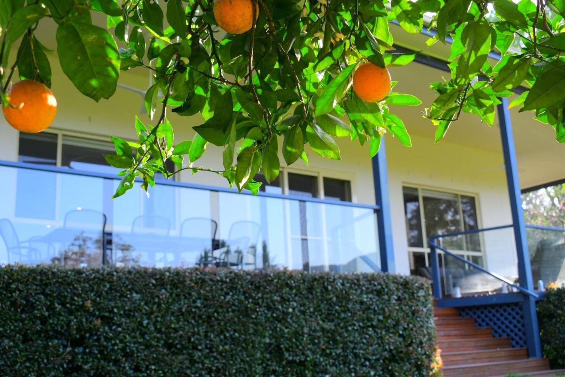 Tatil Evi Floriel - Convenience At Your Doorstep Berry