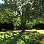 Red Hill - Relax And Rejuvenate