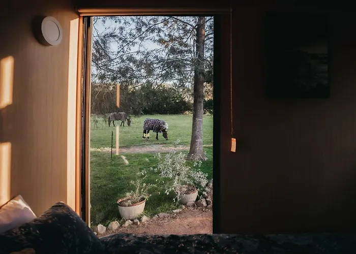 True Colours Tiny House