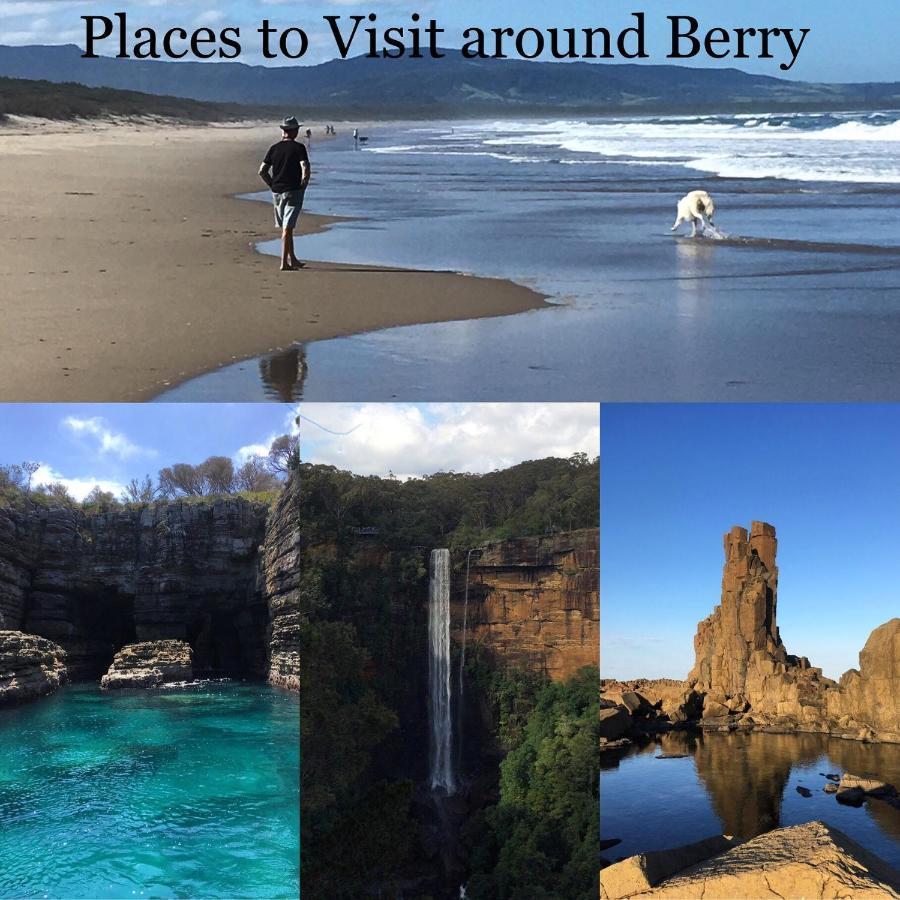 Haven Hideaway Berry