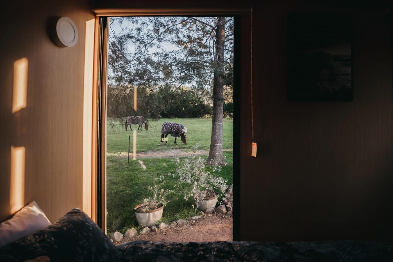 Holiday home True Colours Tiny House Berry