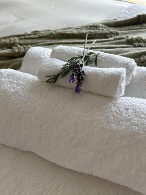 Tatil Evi Luxberry House - In The Heart Of