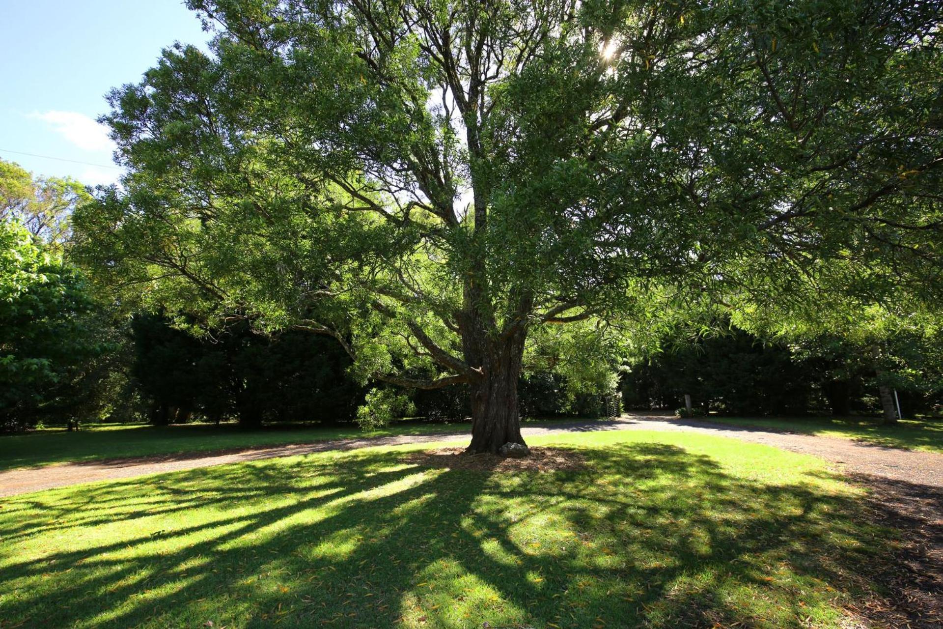 Tatil Evi Red Hill - Relax And Rejuvenate Berry