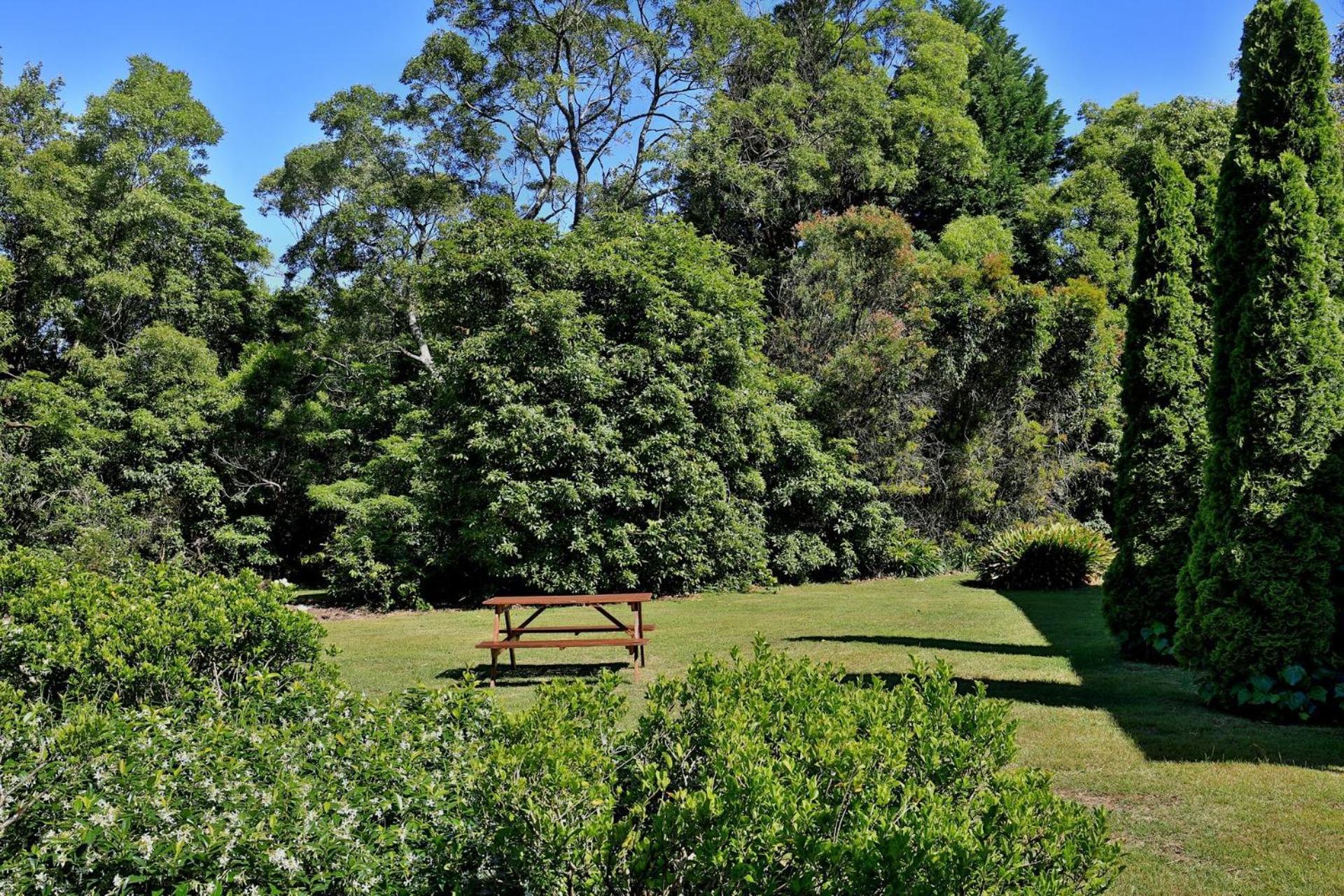 Red Hill - Relax And Rejuvenate Berry