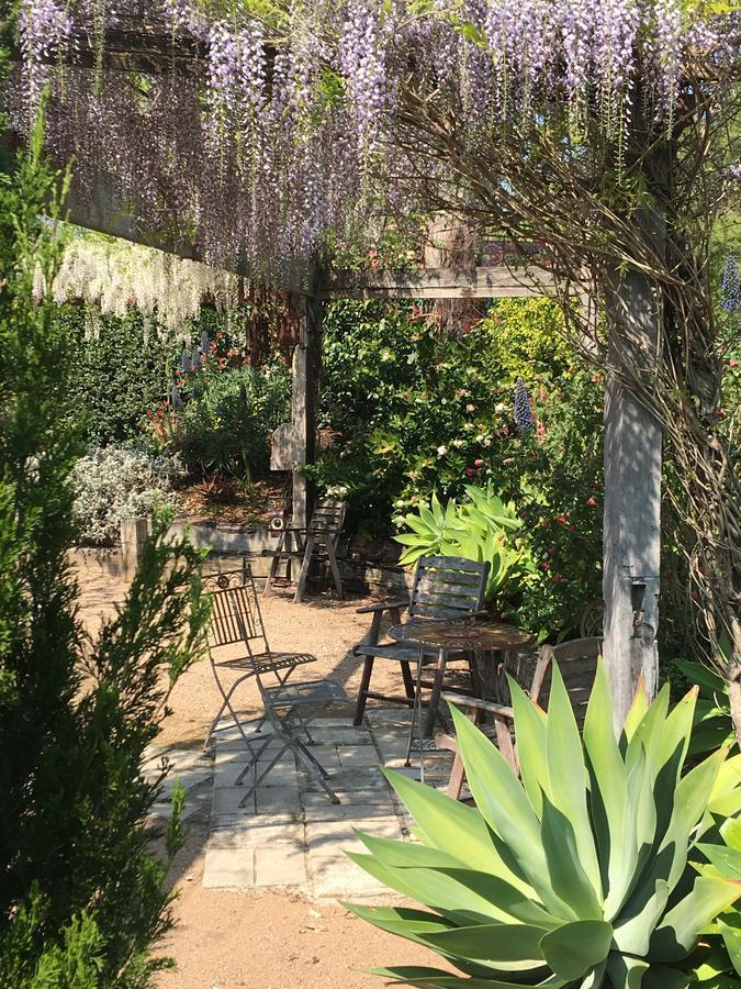 Bed & Breakfast Berry B&B *
